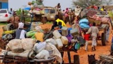 Screenshot 20250423 141048 Chrome