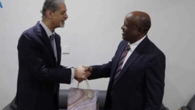 تشكيل "كونسورتيوم" مصري سوداني لإعادة الإعمار في السودان 14 Screenshot 20250423 220741 Chrome