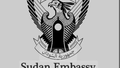 Screenshot 20250425 203604 Chrome