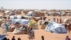 منسقية النازحين بدارفور تناشد المنظمات الدولية 13 منسقية النازحين بدارفور تناشد المنظمات الدولية