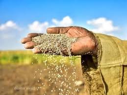 ارتفاع اسعار المحاصيل ببورصة القضارف