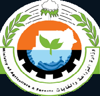 وزارة الزراعة تتخذ خطوات مهمة تجاه آفة خطيرة