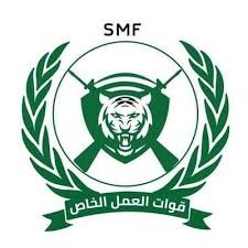 قائد العمل الخاص بسنار يعلق على تصريحات دقلو