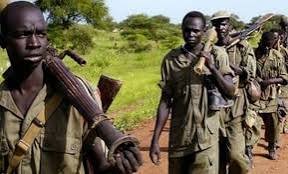 تطورات متلاحقة في أحداث جنوب السودان 