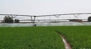 القضارف تكشف عن خطة مهمة بشأن الموسم الزراعي 