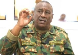 ولاية الجزيرة تتخذ خطوة مهمة للإعمار 12 ولاية الجزيرة تتخذ خطوة مهمة للإعمار