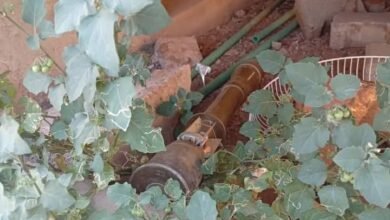 ١٠ ٥٨ ٠٤ FB IMG 1743453203645