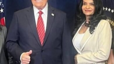 0e33d3f0 797b 4a7b 9c26 07dd643198d5