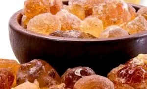 مسؤول بارز يطالب بوقف تصدير الصمغ 13 مسؤول بارز يطالب بوقف تصدير الصمغ