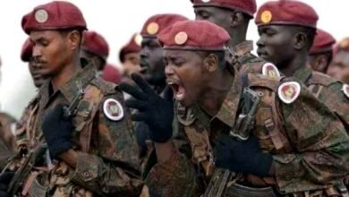 31500737 e559 4beb a9c6 7873789697b5