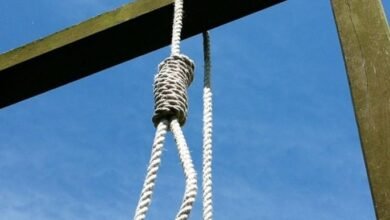 396d5b49 85d5 4c0d 94bf f8729ccda015