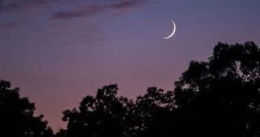 974ec505 771b 4b54 b49c 8d1a5fdb0358