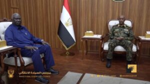 البرهان: نتيجة الشهادة السودانية رسالة للمرجفين والعملاء 13 البرهان: نتيجة الشهادة السودانية رسالة للمرجفين والعملاء