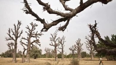 FB IMG 1746194668279