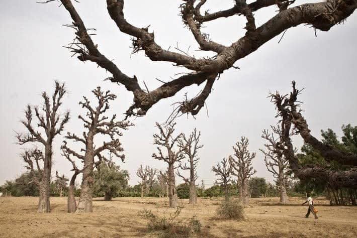 FB IMG 1746194668279