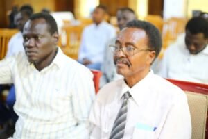 تجمع سياسي لمحاصرة المتمرد الحلو 