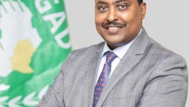 IMG 20250508 WA00131