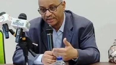 توصية مهمة بشأن تنظيم مهنة الصحافة والنشر الإلكتروني 14 IMG 20250526 WA0007