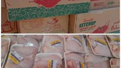 IMG 20250528 WA00391