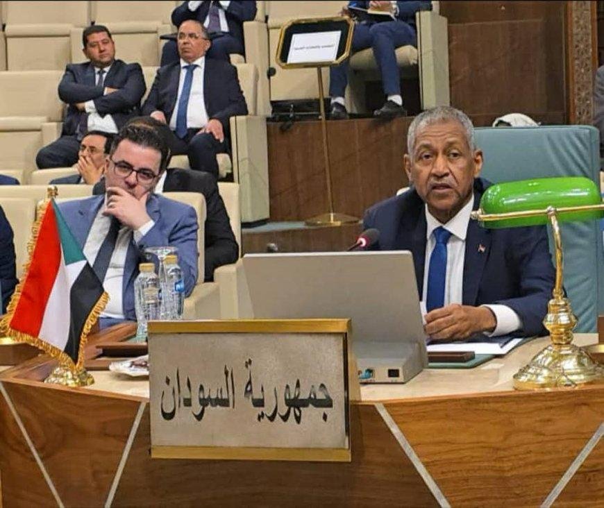 إعمار قطاع النقل النهري على طاولة اجتماع الجامعة العربية 11 IMG 20250531 WA0036