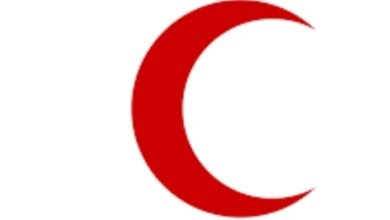 Screenshot 20250508 092332 Chrome