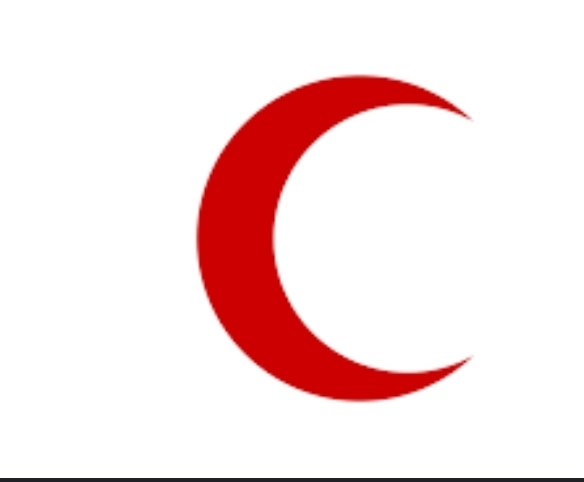 Screenshot 20250508 092332 Chrome