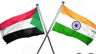 Screenshot 20250511 174042 Chrome