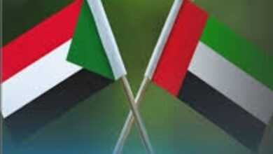 Screenshot 20250512 081406 Chrome