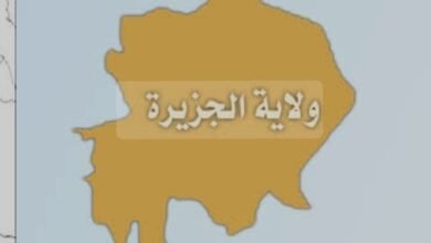 والي الجزيرة يصدر قرارا مهما 14 Screenshot 20250512 150107 Chrome