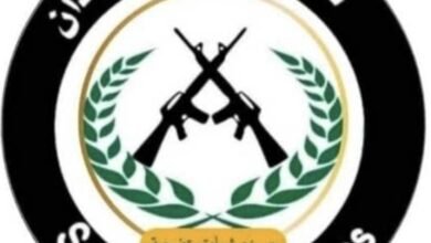 Screenshot 20250512 232912 Chrome