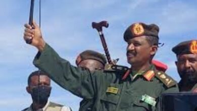 Screenshot 20250512 232952 Chrome