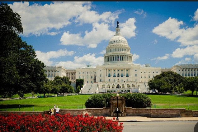 Screenshot 20250513 182050 Chrome 1