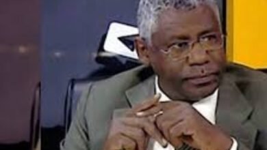 عادل الباز: كيف نرد على الإمارات؟ (1) 17 Screenshot 20250513 234239 Chrome