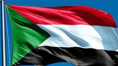 Screenshot 20250514 120818 Chrome