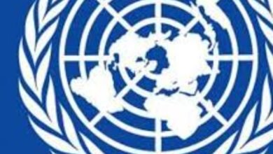 Screenshot 20250515 224757 Chrome