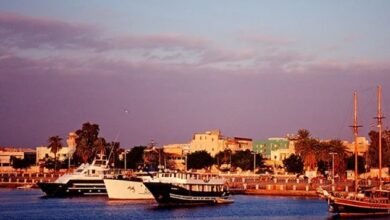 Screenshot 20250518 113438 Chrome