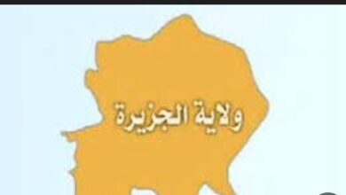 Screenshot 20250518 170447 Chrome