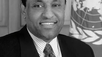 Screenshot 20250519 120845 Chrome