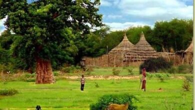 Screenshot 20250519 200122 Chrome