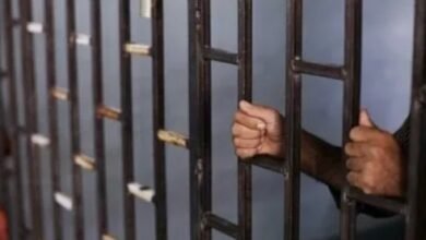 Screenshot 20250522 131215 Chrome