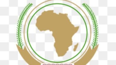 الإتحاد الأفريقي يطلق تعهدات تجاه السودان 17 Screenshot 20250524 190636 Chrome