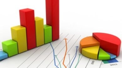 إحصائية مخيفة للأجانب بالشمالية 15 Screenshot 20250524 214015 Chrome