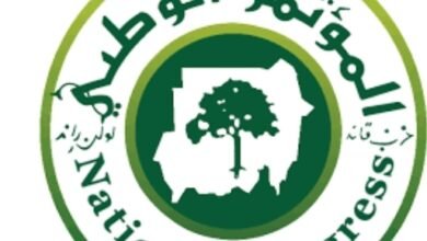 Screenshot 20250525 171749 Chrome