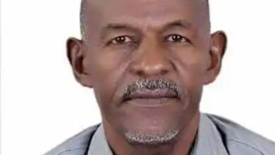 Screenshot 20250525 174443 Chrome