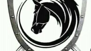 Screenshot 20250525 182303 Chrome