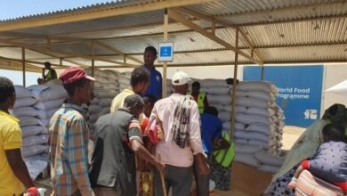 Screenshot 20250526 222253 Chrome