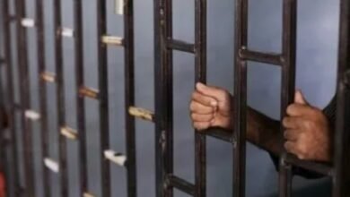 Screenshot 20250528 091637 Chrome