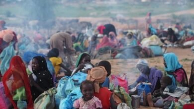 Screenshot 20250528 141125 Chrome