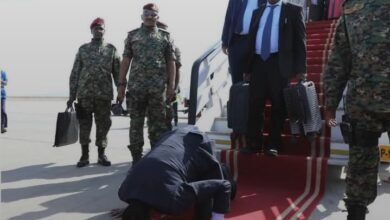 Screenshot 20250529 163058 Lite