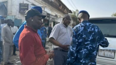 ae41adff 6d56 486c 9877 1f011f12373f